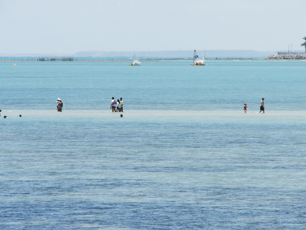 Vista do mar raso de Alagoas com pessoas andando com água no joelho: Melhor Mês para Viajar para Alagoas